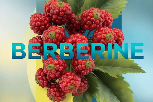 Berberine: Health Benefits, Scientific Studies, Reviews